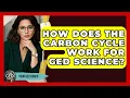 How Does The Carbon Cycle Work For GED Science - Your GED Coach