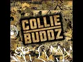 Come Around - Collie Buddz
