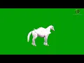 Download Lagu Pegasus 2 Green Screen HD