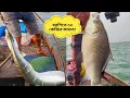Download Lagu অবিশ্বাস্য শিকার! বরশিতে ধরা ৩০ কেজির কাতলা | Unbelievable 30KG Katla Fish Catch