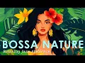 Download Lagu Bossa Nova Nature Mood ~ Perfect Latin Jazz Music to Stop the Stress ~ Jazz Alchemy Quartet