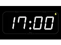 17 MINUTE - TIMER ALARM