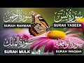 Lagu Surah Yasin ❤️ Surah Rahman , Surah Waqiah , Surah Mulk | Ep 229,یس