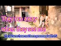 Download Lagu Walking on the oldest street in Guiyang, women were scared away by me