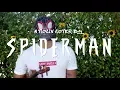 Post Malone ft Swae Lee - SUNFLOWER Violin Cover by Ian Mann