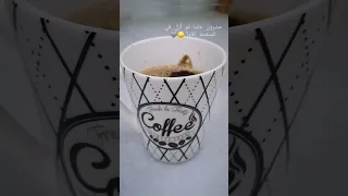 عشرون عام فوق درب الهوى Chocolate قهوة Coffee 