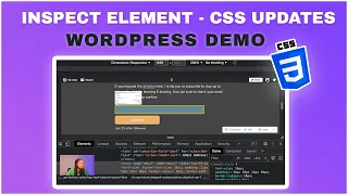 Inspect Element - CSS Updates WordPress Demo