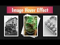 Amazing Image Hover Effect With Only HTML CSS CSS Hindi Tutorial
