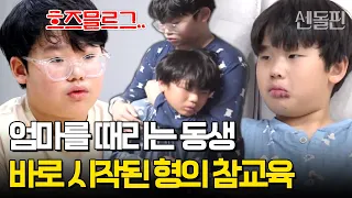 "하지마라💢" 엄마한테 선 넘은 동생, 참다못해 폭발한 6학년 형 | #금쪽같은내새끼 262회