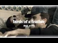 Download Lagu birds of a feather - billie eilish (edit audio)
