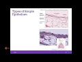AP1 Online Chapter 5 Histology Part 1