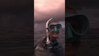 Magic of Mo’orea Above + Below  #shorts #moorea #whales #hike #oceans #bestmoments #adventure #sea