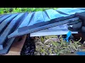 Cash Dumpster Diving Florida Autozone and Harbor Freight