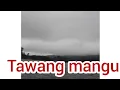 tawang manggu ninggal kenangan