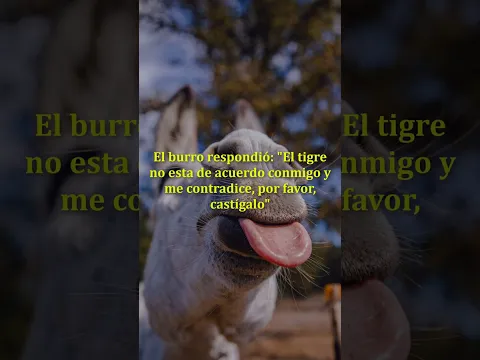 Nunca DISCUTAS con BURROS - Reflexión #shorts #reflexiones
