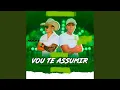 Lagu Vou Te Assumir