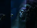 Lagu Jack became a skeleton #shorts #piratesofthecaribbean