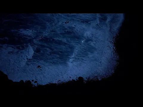 CIRCE (2022) · Tráiler oficial