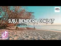 SUSU BENDERA COKLAT !!! [ YOGA FRIZELO x DISCO TANAH R-MIX ]