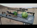 338 Lapua vs 50 BMG vs Watermelons 1000 FPS Slow Motion