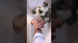 حلم سنين تامر حسني بدون موسيقى 