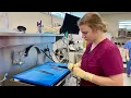 Inside the GBI s Medical Examiner s Office