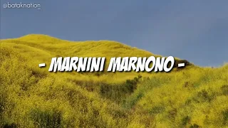 Download Lagu Batak Viral -Marnini Marnono- MP3