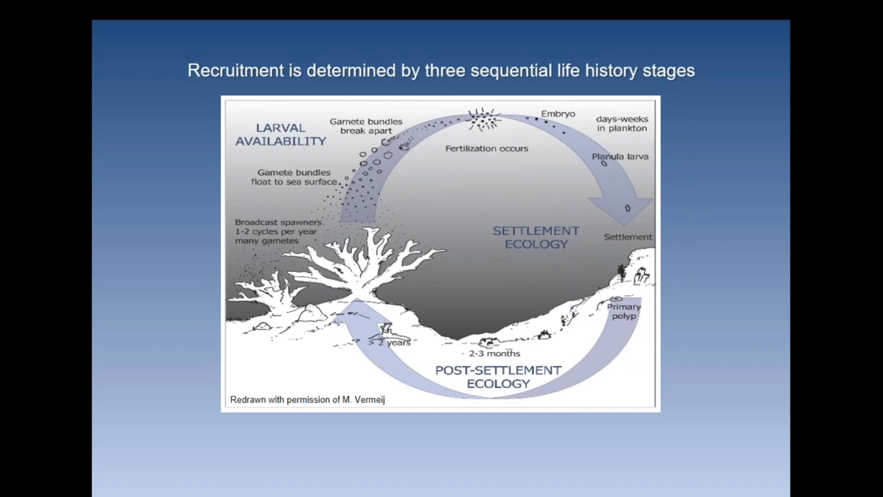 Challenges to Recruitment in a Changing World, Rebecca Albright, California Academy of Sciences
