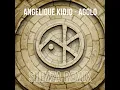 Angélique Kidjo - Agolo (Shimza Remix) | Afro House Source | #afrohouse #afrodeep #afrotech