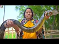 Download Lagu 2kg ওজনের ধান খাওয়া বাউশ মাছ কেটে রান্না | Baush Fish curry recipe | villfood