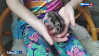 Сегодня отмечается Всемирный День домашних животных