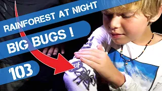 Tarantula Climbs Arm as Sailing Family Trek Rainforest in search Caiman and Natural Medicines Ep 103