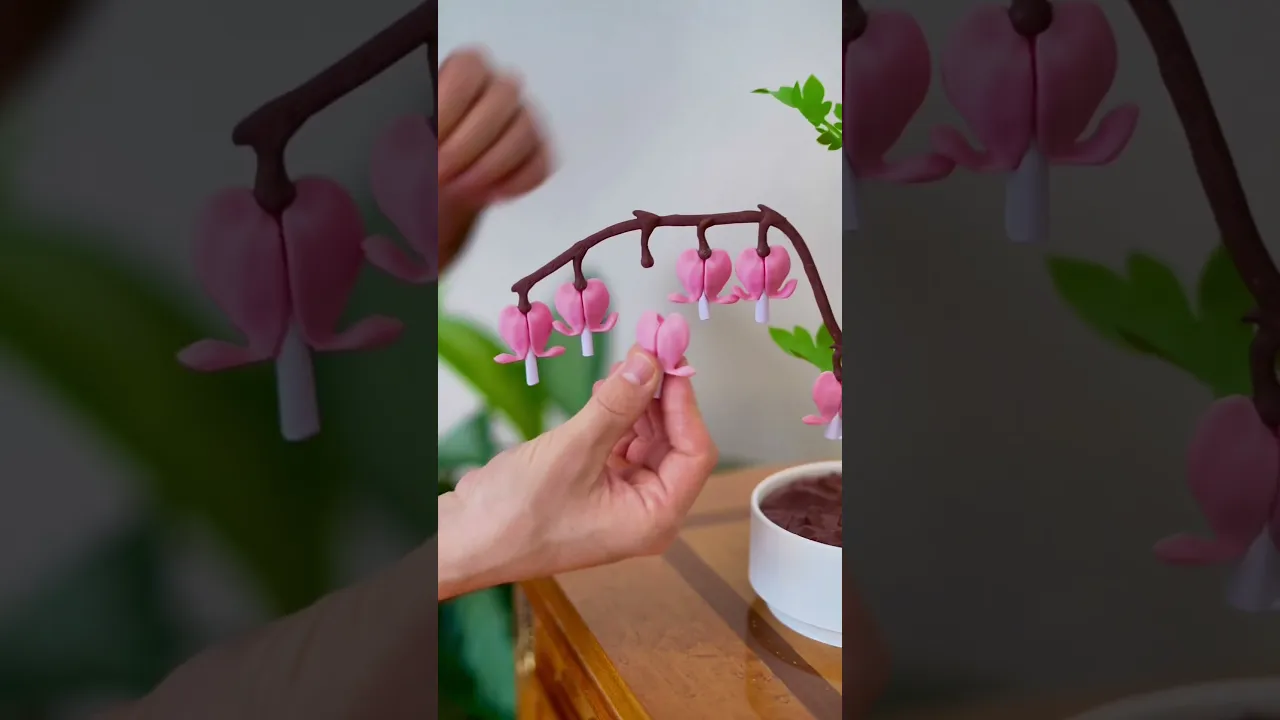 Bleeding Hearts - Functional Plant Print For Valentines Day - Jewelry Box video thumbnail