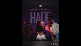 mr jazziq ft dinky mellow u0026 sleazy ma ten djy biza djy zan sa hade mabebeza