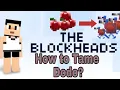 How to tame Dodo The Blockheads