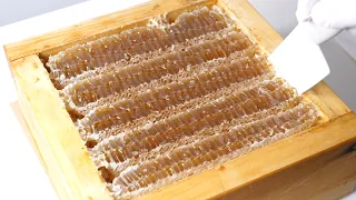 벌꿀집 자르는 소리 ASMR 🐝