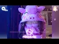 Download Lagu ( Bukan Pho )-Famous songs in TiK ToK