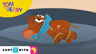 tom and jerry catching jerry cartoonito africa