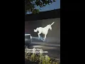 Download Lagu 🦄 Secercah keajaiban di setiap perjalanan. Saksikan #allnewKONA yang memulai debutnya di Channel 4.
