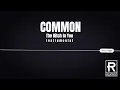 Common - the Bitch In Yoo (instrumental)