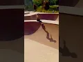 Download Lagu Rip a Beautiful European Skatepark #shorts #ripstik #adventure