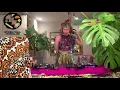 Download Lagu Tigerbalm Presents International Soundclash ' Carnival Special' W/ DJ LoRIOca \u0026 Garage Disco