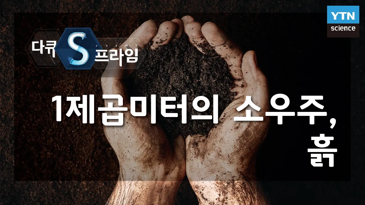1제곱미터의 소우주, 흙 [다큐S프라임] / YTN 사이언스