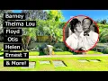 Andy Griffith Show Graves