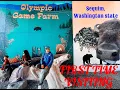 CAUTION WILDLIFE AHEAD FIRST TIME OLYMPIC GAME FARM - SEQUIM WA 2026 Life Full of J s