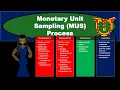 Monetary Unit Sampling MUS Process