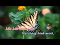 Download Lagu LK Ly Ruou Mung - Don Xuan Karaoke Tone Nu