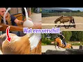Download Lagu Bizarre verschillen bij mijn paarden! Goed nieuws bij de dierenarts! 