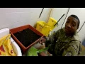 City Pickers Patio Garden Box - Set Up and Planting Super Easy Gardening The Life You Have