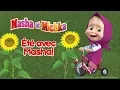 Masha et Michka - Été avec Masha!🌻 Meilleure compilation de dessins animés d'été pour les enfants